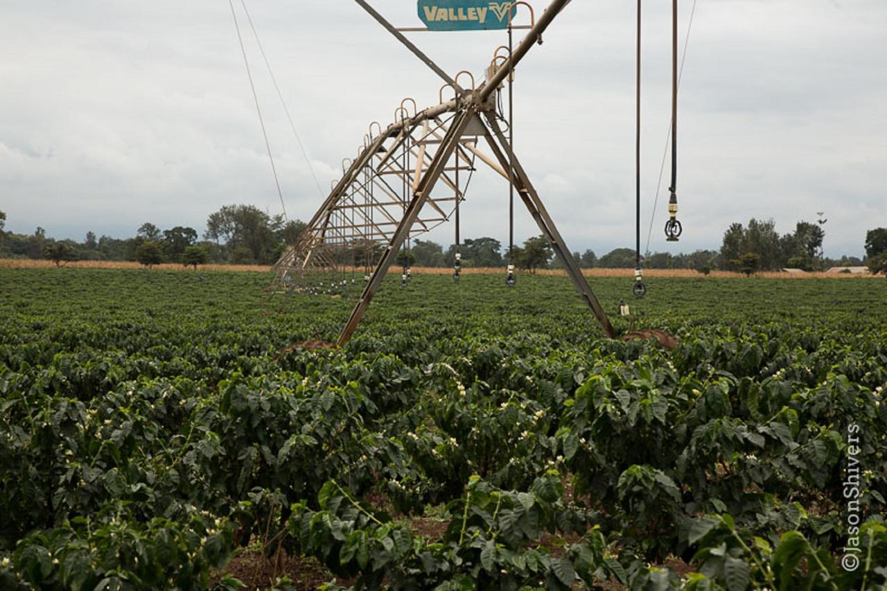 Weru Weru River Lodge Exterior foto
